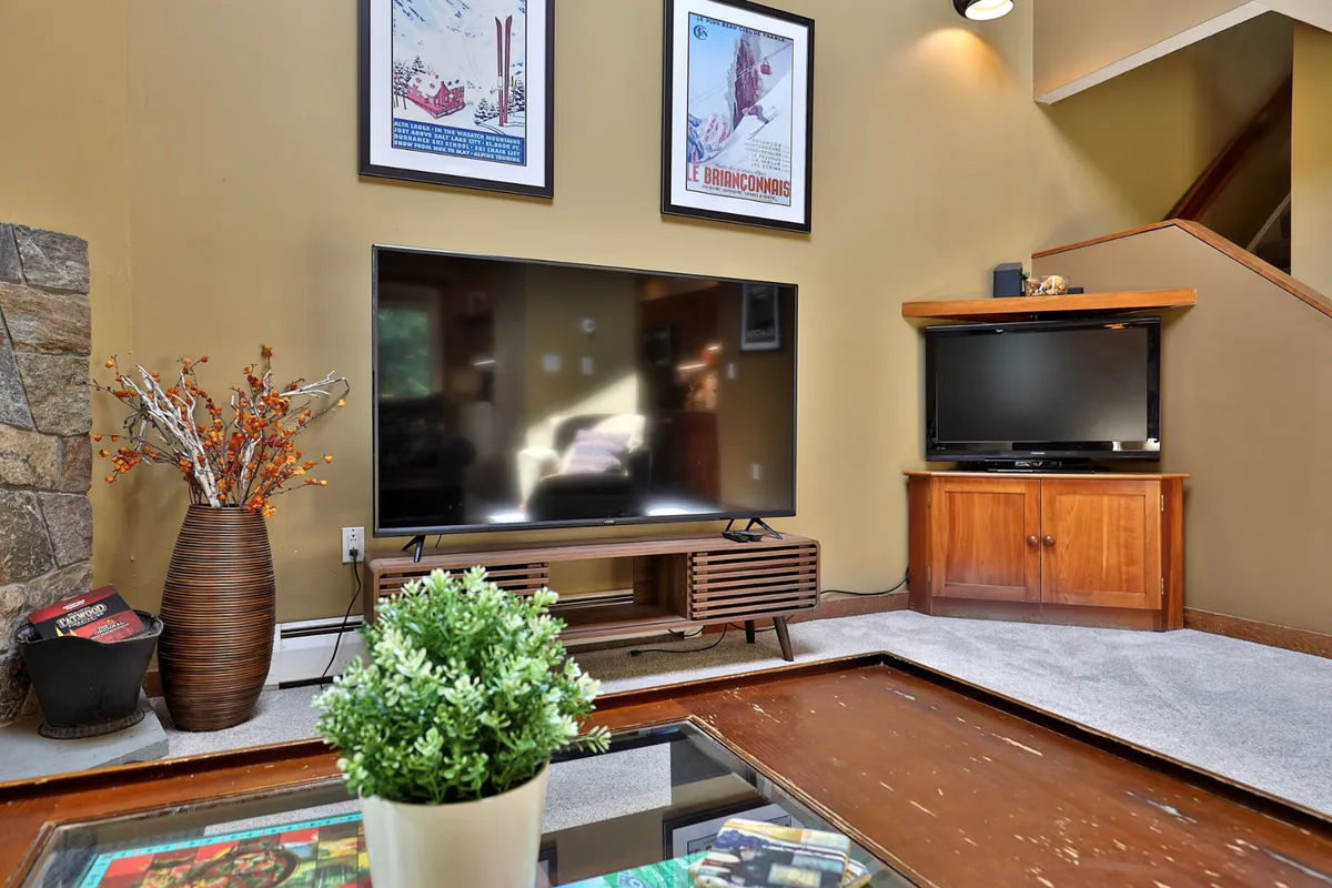 A comfortable living space with a large smart TV, lush decorative plants, a stone fireplace, and tasteful artwork on the walls. The room exudes a cozy, relaxed vibe ideal for unwinding, working remotely, or enjoying evenings by the fire after a day of adventure.